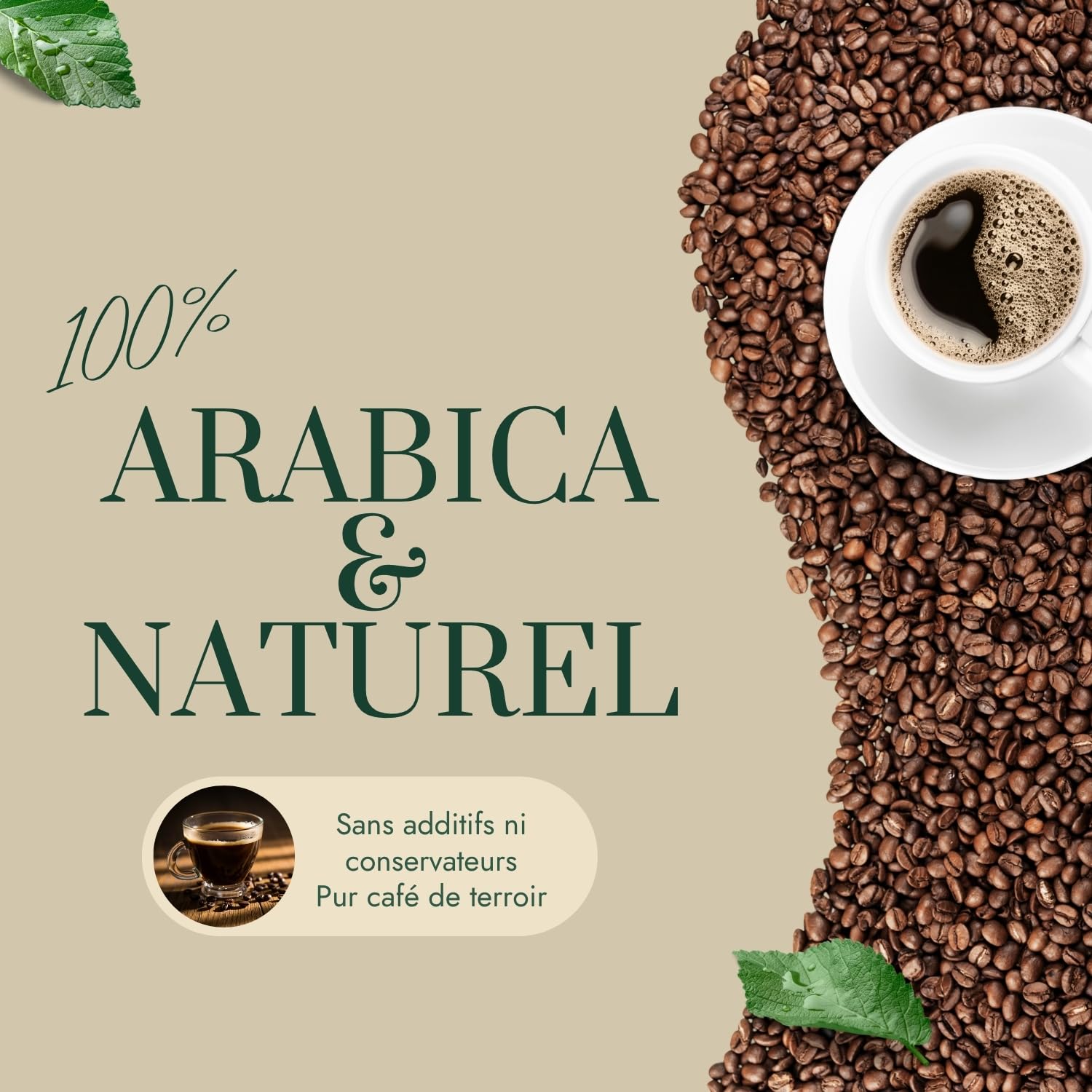 Graindecafé – Café Vert Cameroun Bamoun A 1kg | 100% Arabica Non Torréfié À Torréfier Soi-Même | Rond & Épicé | Notes De Bois & Cacao | Café Cru En Grain | Idéal Machine À Grain Une Fois Torréfié