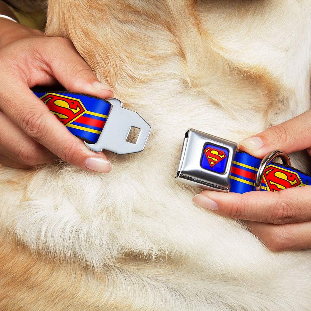 Buckle-Down Dog Collar Seatbelt Buckle Superman Shield Stripe Blue Yellow Red 16 to 23 Inches 1.5 Inch Wide, Multicolor, DC-WSM060-WM