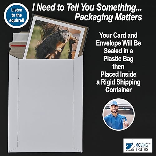 Miniatura 4 de Paquete de 5 tarjetas de felicitación divertidas de ardilla, interior en blanco, tarjetas de notas personales, plegadas de 4.25 x 5.5 pulgadas,