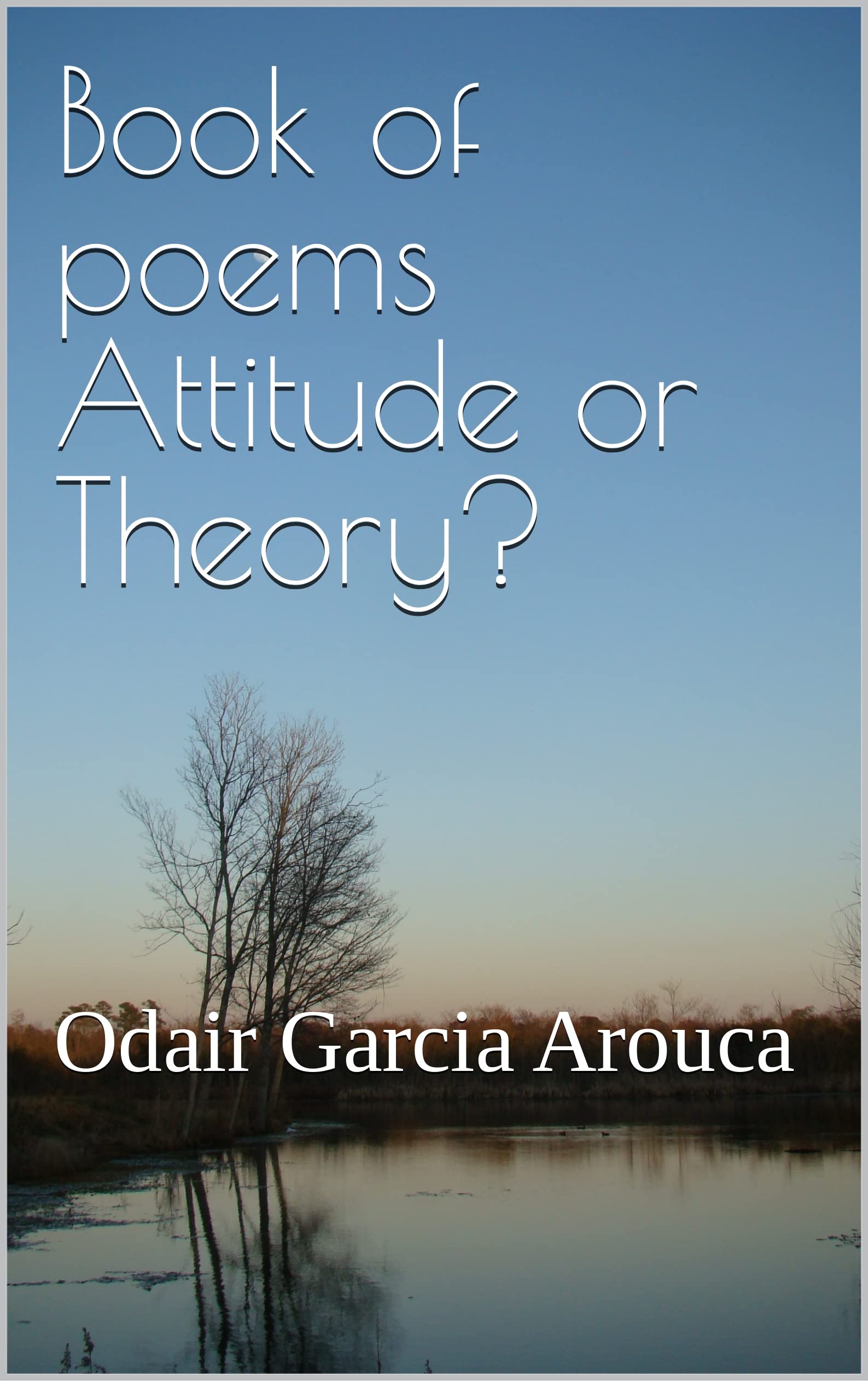 Livre Attitude or Theory? recueil de poèmes pour vos moments de lecture et détente