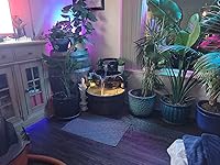 Review Image by Mickey Mickey