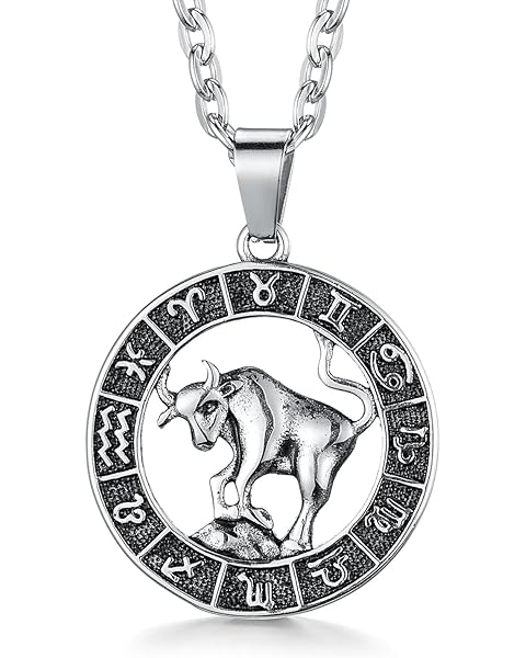 Zodiac Sign Pendant Necklaces for Women Men Stainless Steels Leo Constellation Horo...