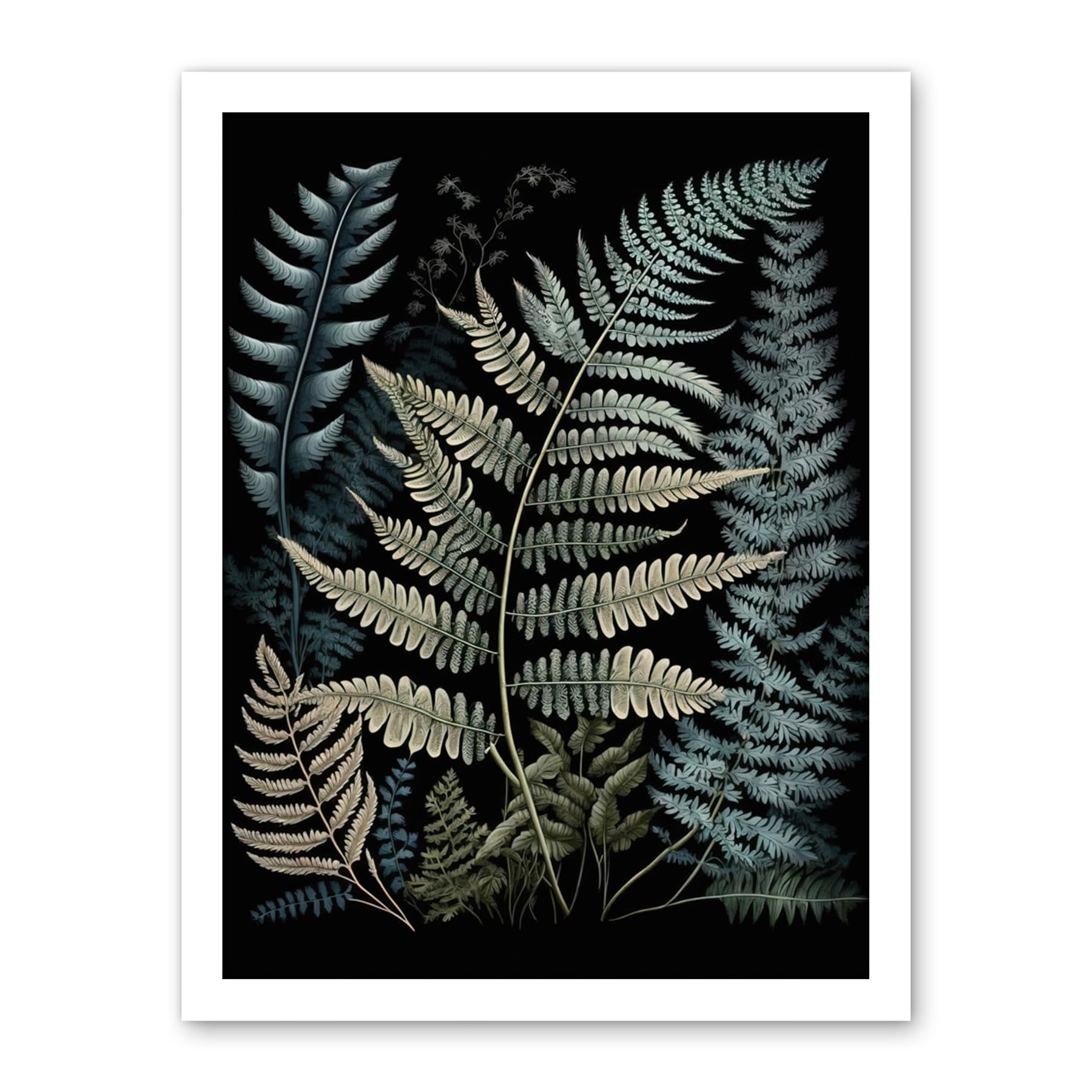 Artery8 Fern Frond Species Detailed Botanical Illustration Artwork Framed Wall Art Print 18X24 Inch