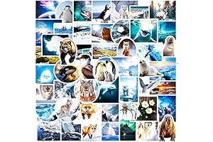 Polar Animal Stickers: Unleash Arctic Charm for Personalized Belongings