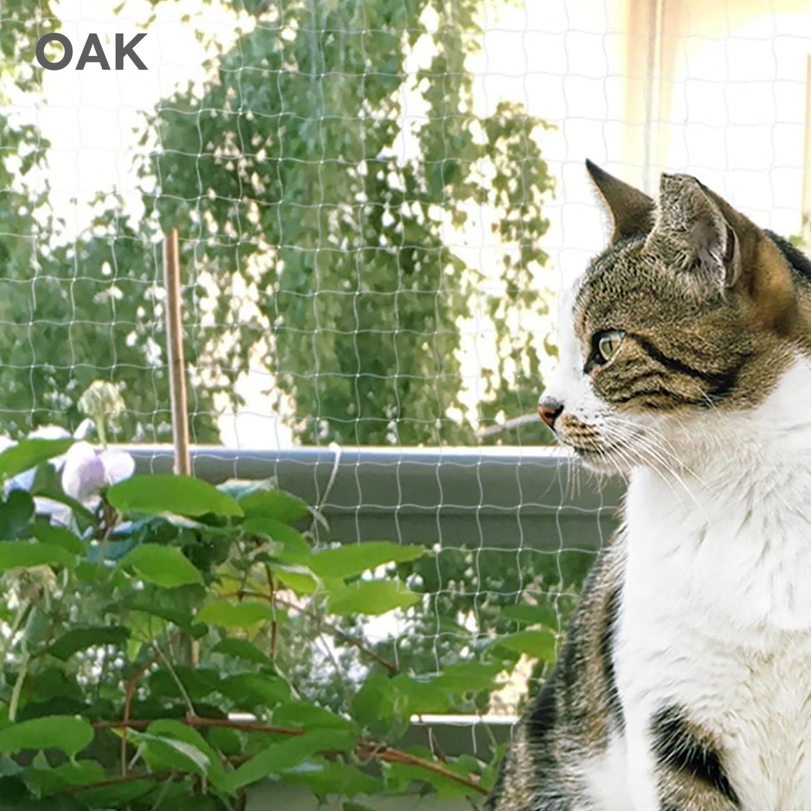 Rete di protezione per gatto per balcone, anti-uccelli e piccioni, in nylon forte resilienza, protezione da giardino (10 x 10 m/trasparente)