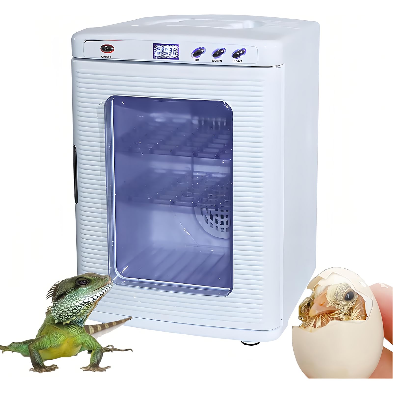Incubadora de huevos de reptiles, caja de termostato de calefacción portátil para cría y incubación de tortugas y lagartos