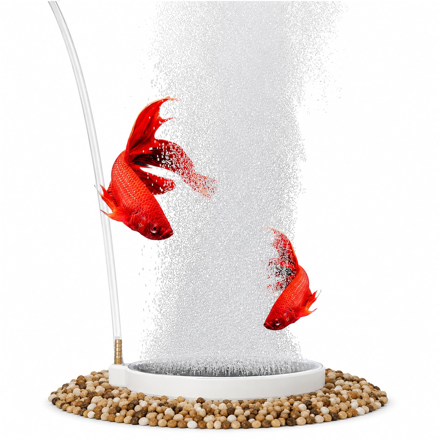 Jainsons Pet Products 2 Inch Aquarium Air Stone Disc N50 with Brass Nozzle, White Air Stone Bubble Diffuser for Air Pumps, Oxygen Aerator for Fish Tanks, Ponds & DWC Systems