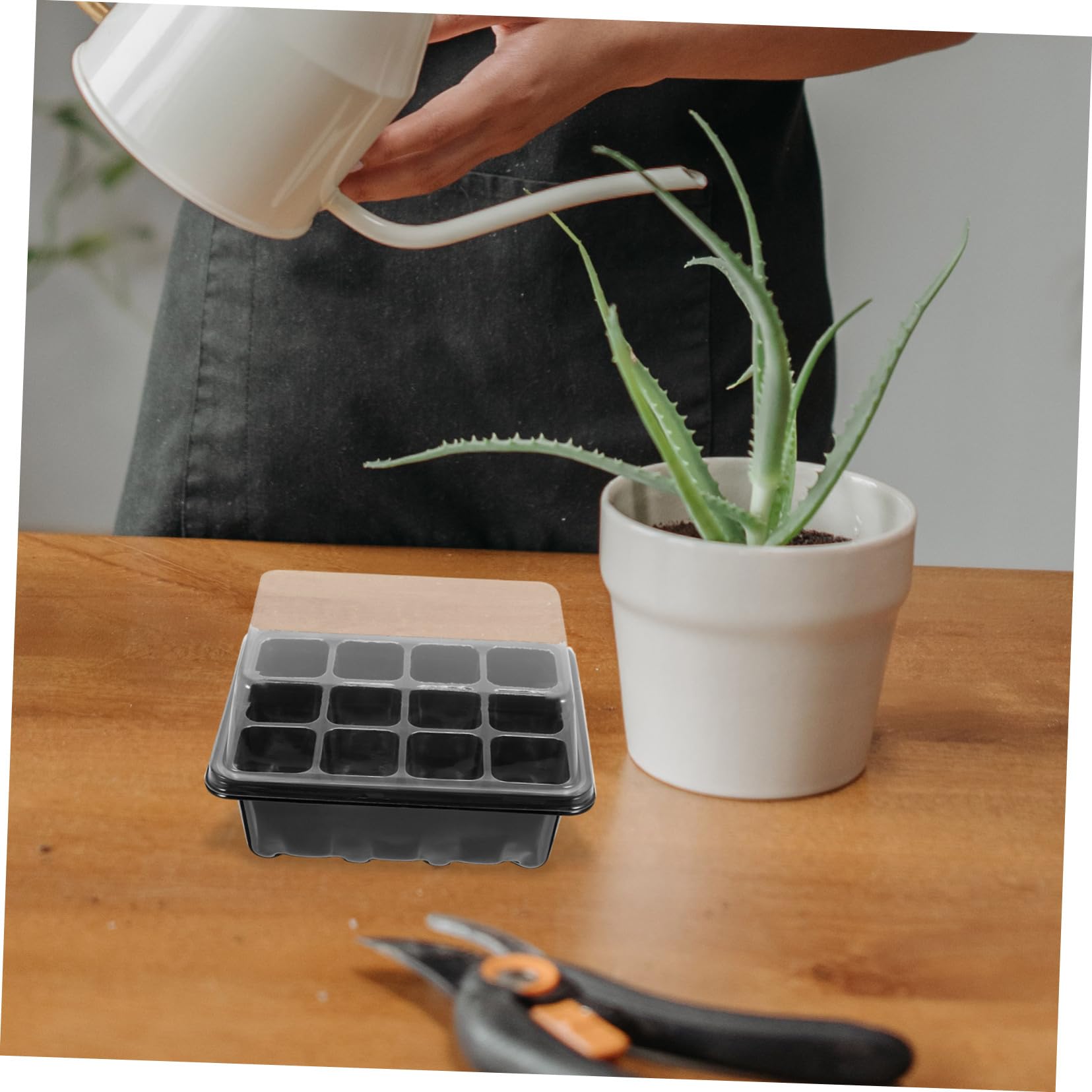 YARNOW 2 Set Scatola per piantine vassoio di semina contenitore di semina semi di germinazione vasi per semina pianta vassoio di avviamento cellulare caso di germinazione delle piante
