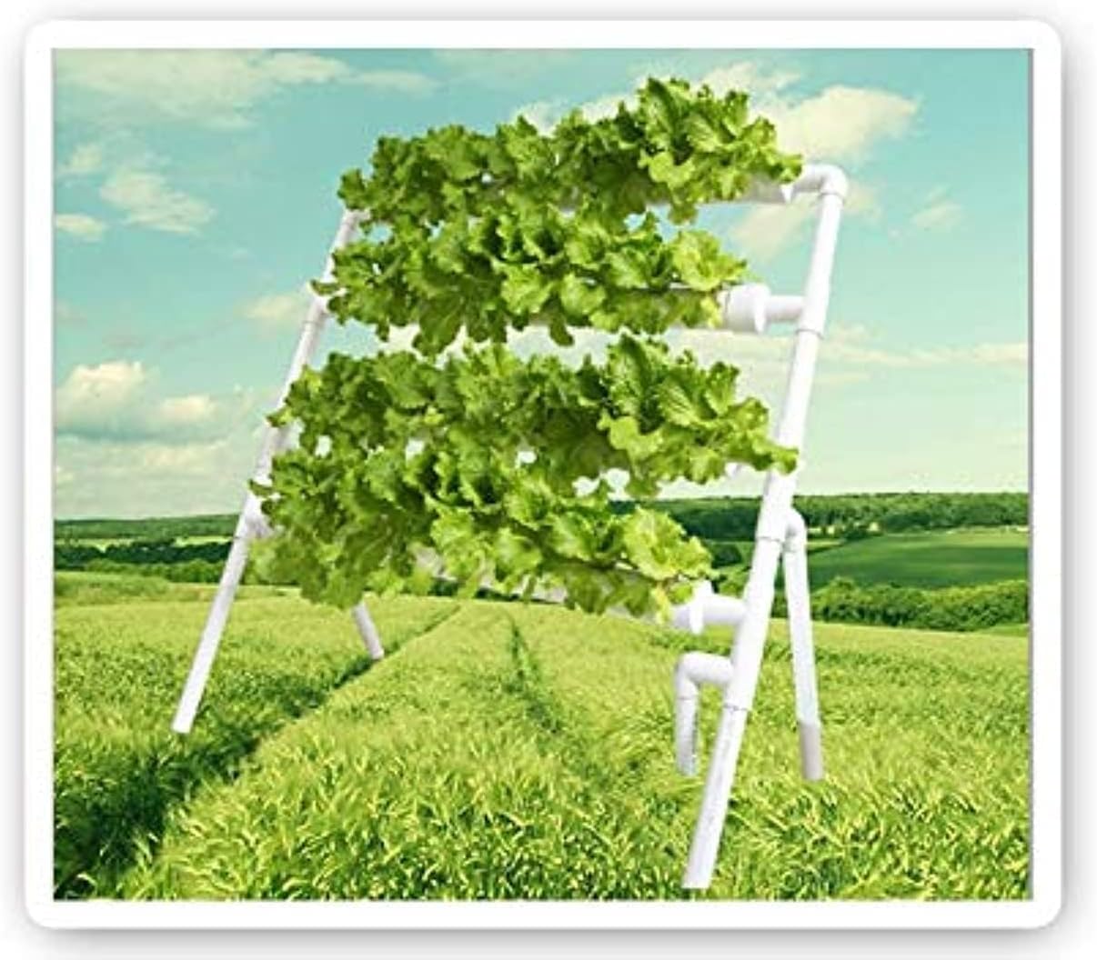 eWINNER Single side Hydroponic Grow Kit 36 Planting Sites Hydroponic Plant Growing Rack Hydroponic Garden Plant Growing System