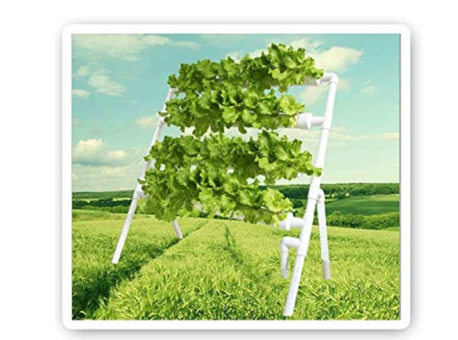 eWINNER Single side Hydroponic Grow Kit 36 Planting Sites Hydroponic Plant Growing Rack Hydroponic Garden Plant Growing System