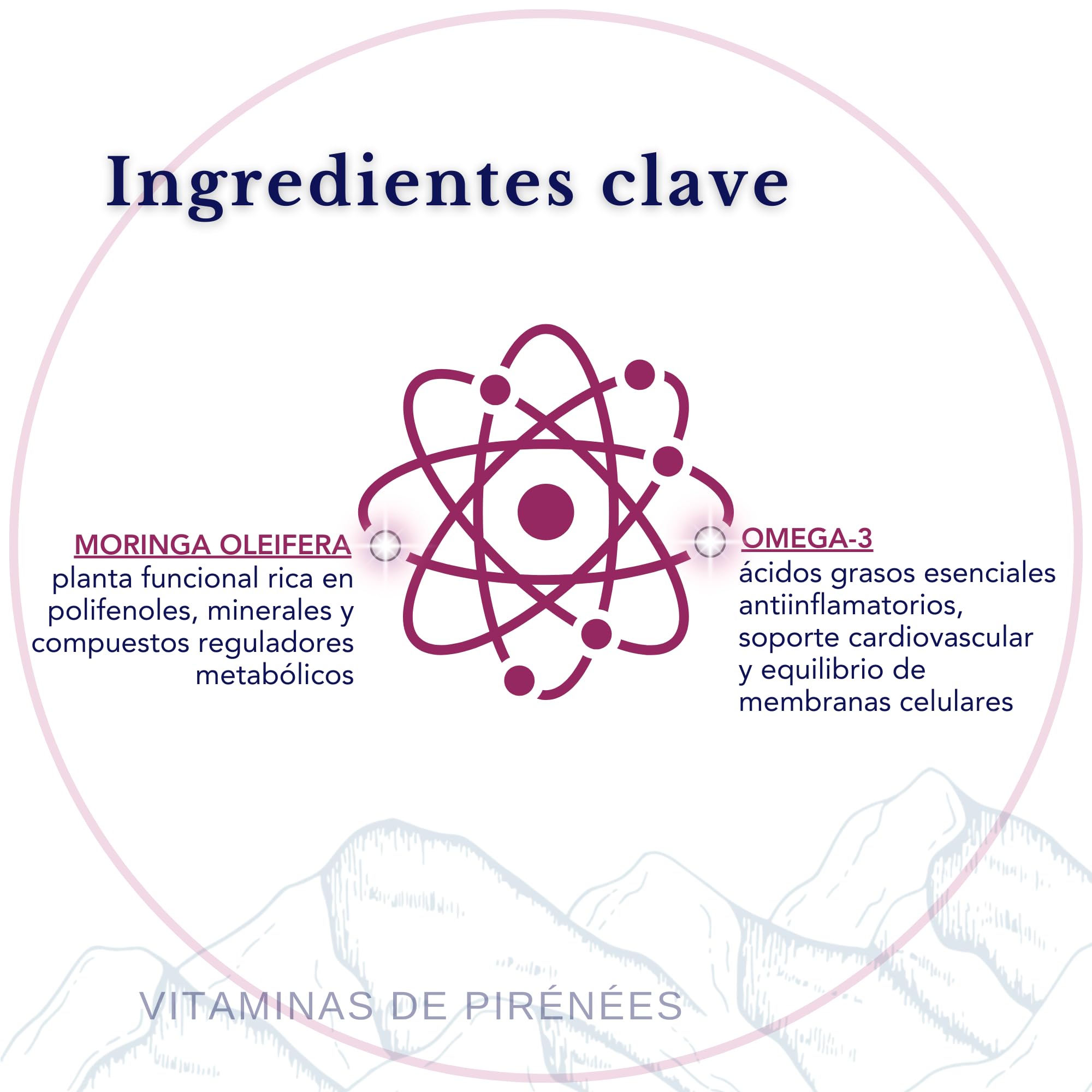 Omega 3 TG, Moringa Oleifera - SmartAbsorb™ | para la función cerebral, el sistema nervioso y la inmunidad | 56 sobres diarios