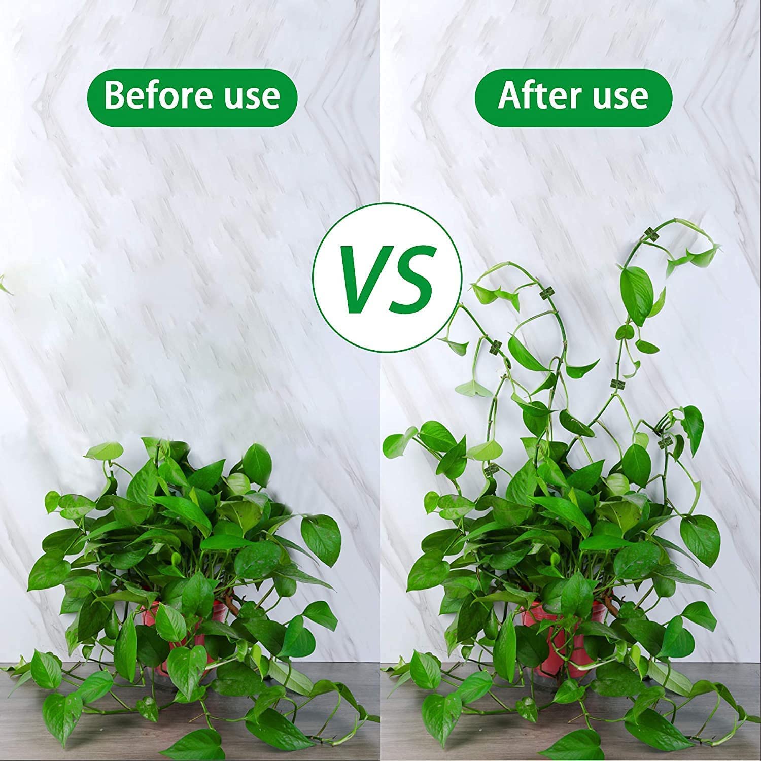Plant Climbing Clips - Support Your Vines! -3