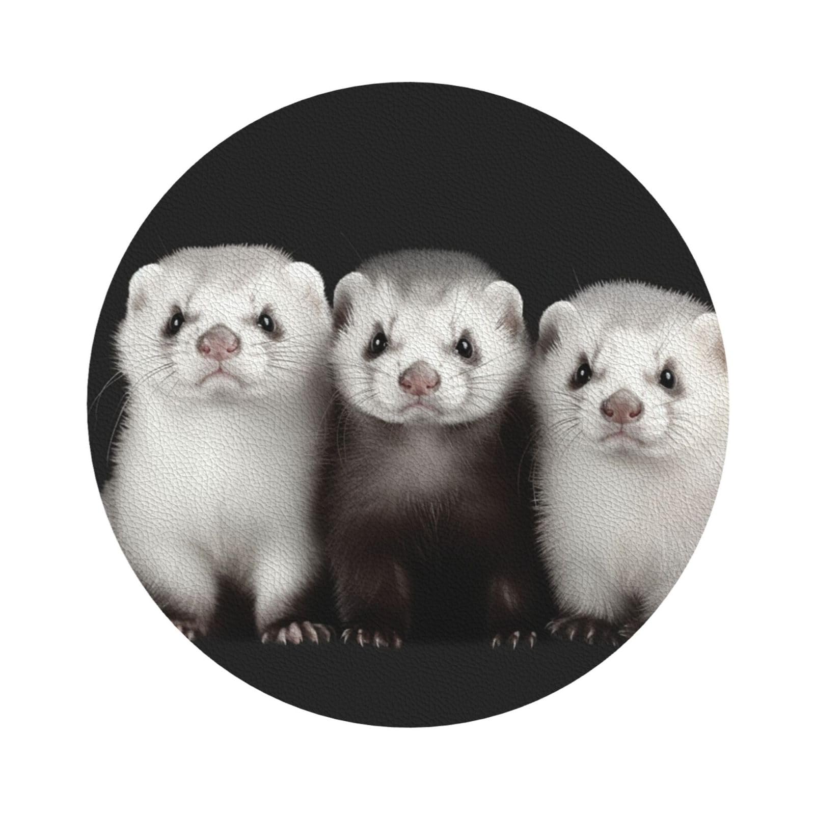 Fodpand Round Shape Ferrets Drink Coasters Set Of 4, Heat Resistant Leather Coasters Fuuny Bar Beer Beverage Coaster For Drinks, Absorbent Cup Mat For Tabletop Protection, Housewarming Gift