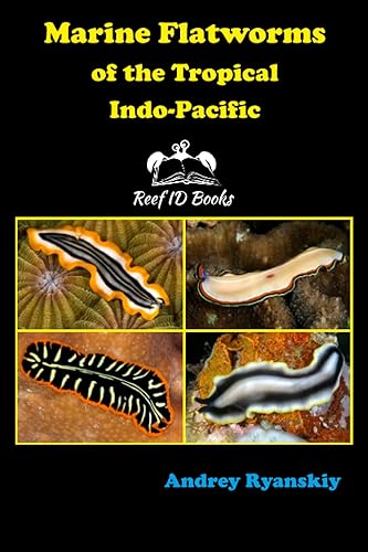 Marine Flatworms of the Tropical Indo-Pacific: 1 (Coral Reef Academy: Indo-Pacific Photo Guides)