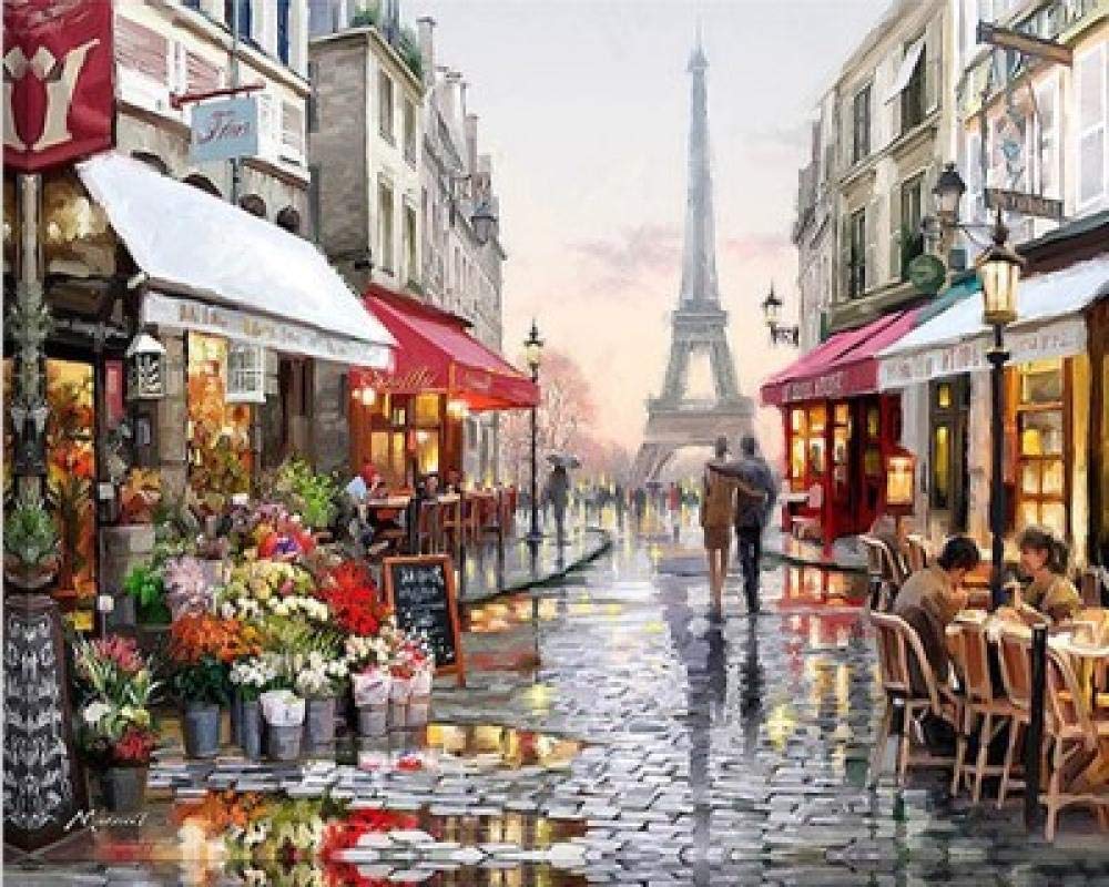 Peinture Diamant 5D Cadeau Manuel Broderie Strass Carrés Boutique Fleurs