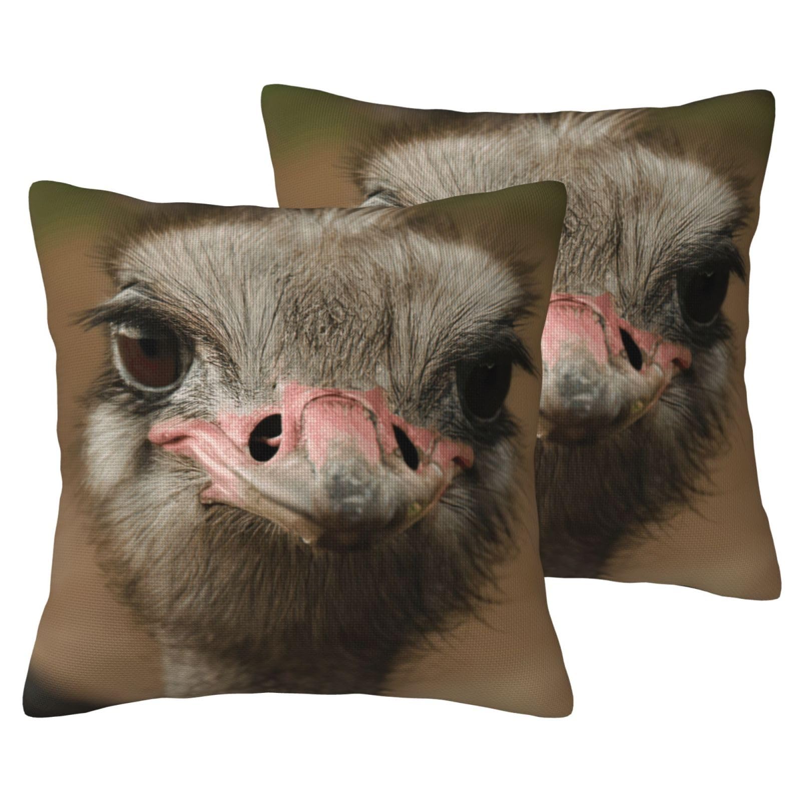 Housses de coussin autruche pour canapé-lit et moments cocooning