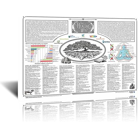The Healing Web Poster – Your Guide to Natural Remedies