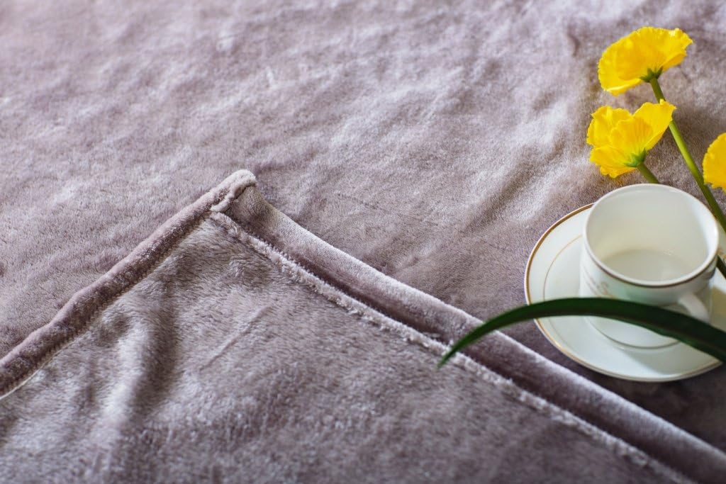 Caitlin White Throw Blanket for Couch/Sofa/Bed, Luxury Super Soft Microplush Velvet, 50"x60", Grey