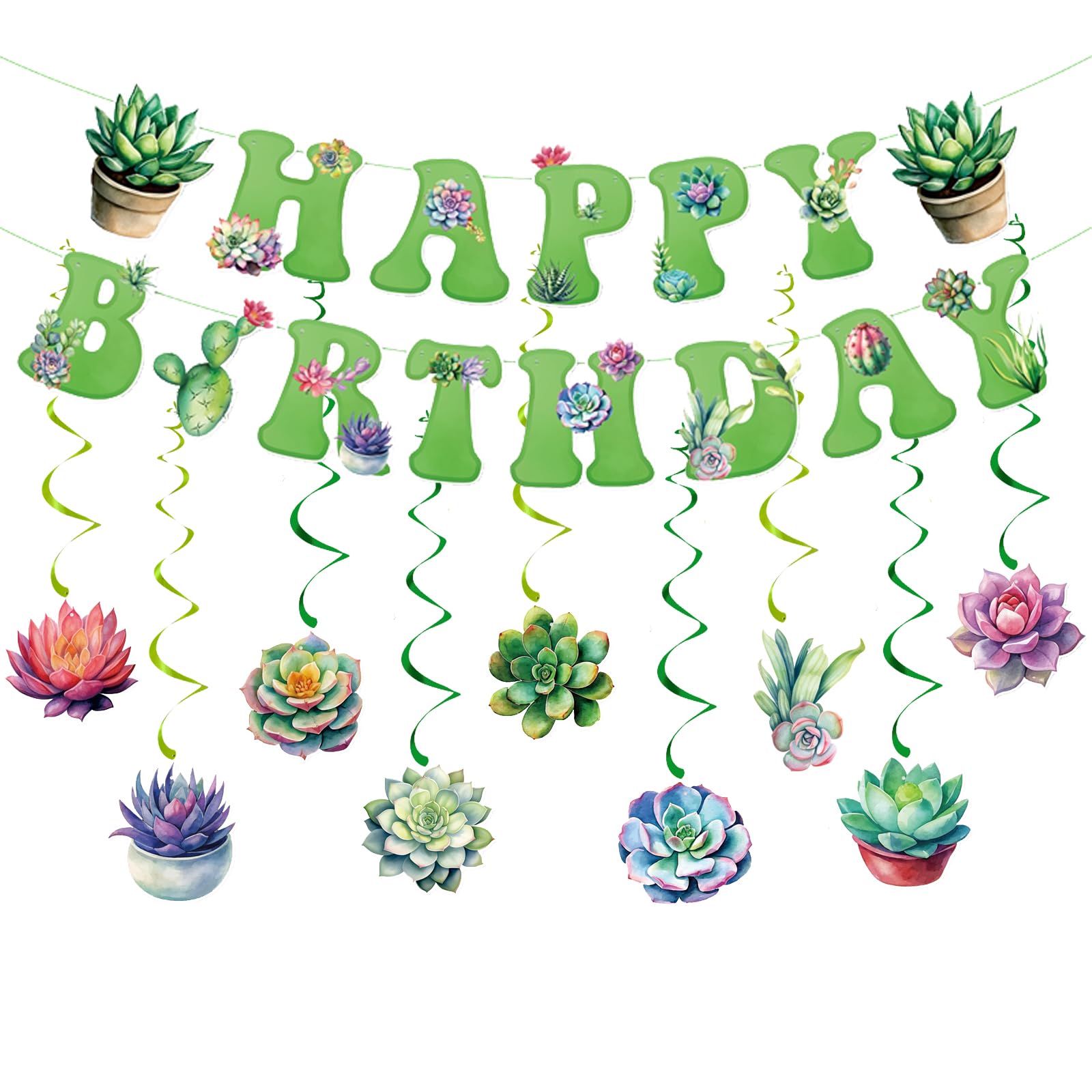 Zwiebeco Multicolored Succulent Banner
