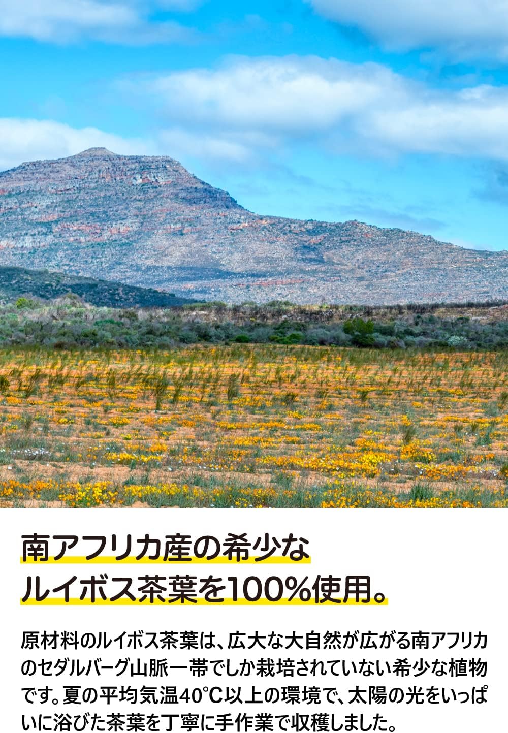 【Amazon.co.jp限定】良品物語 ルイボスティー 500ml x24本 [ポリフェノール200mg、ノンカフェイン]