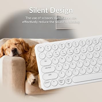 Keychron B3 Pro 75% Ultra-Slim Wireless Keyboard, 2.4GHz, Bluetooth 5.2 / Wired USB Connection, Portable Silent White Bluetooth Keyboard for Mac Windows Linux Tablet Phone