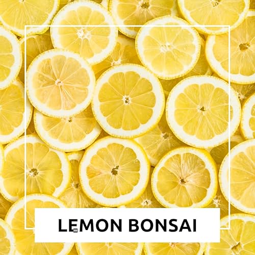 Miniatura 5 de Semillas de árbol bonsái de limón enano, 20 semillas, cultiva un delicioso árbol bonsái con fruta, ideal para jardinería en el hogar