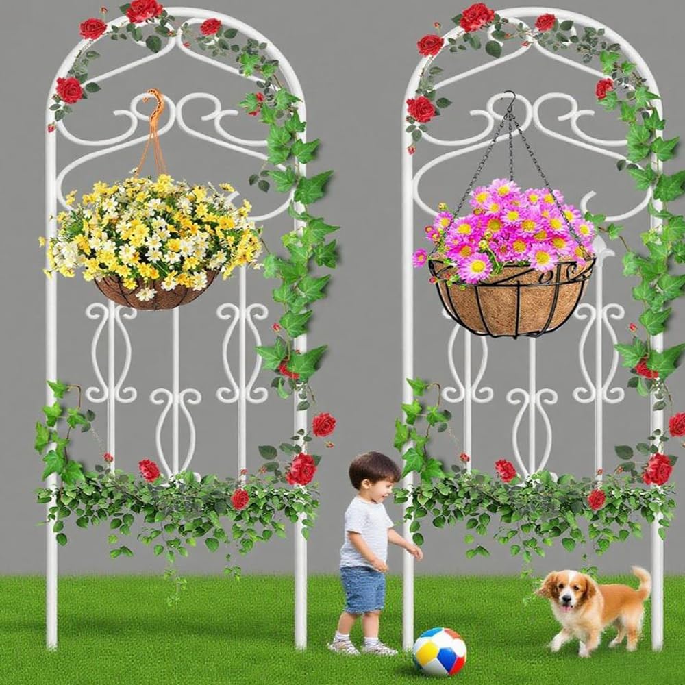2 Pack Garden Trellis 60 x 18 for Climbing Plants