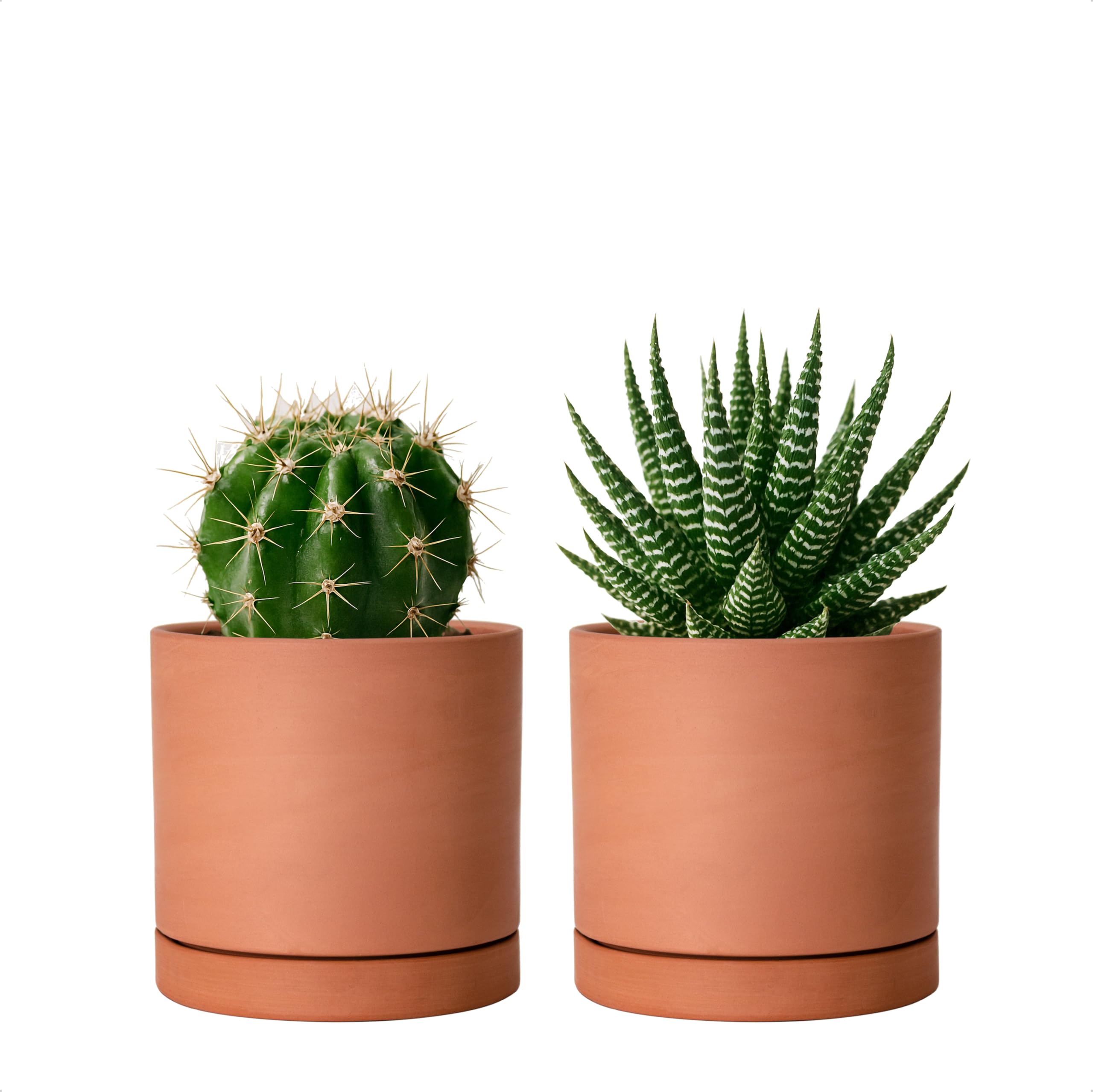 D'vine Dev 2-Pack Terracotta Plant Pots