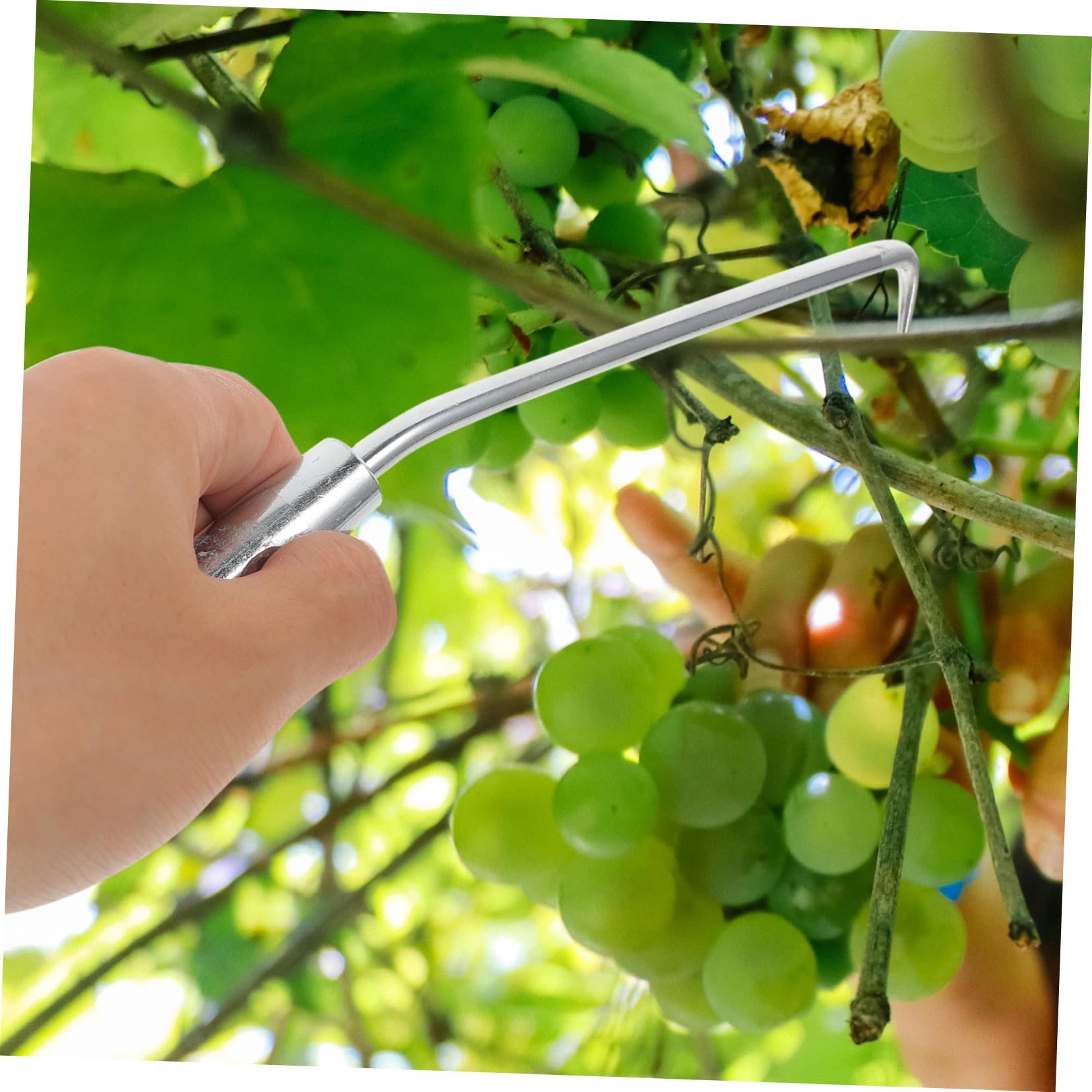SUPVOX 8pezzi Gancio Tying Resistente per Strumento Portatile per Rampicanti e Recinzioni per Assicurare Strutture Giardinaggio