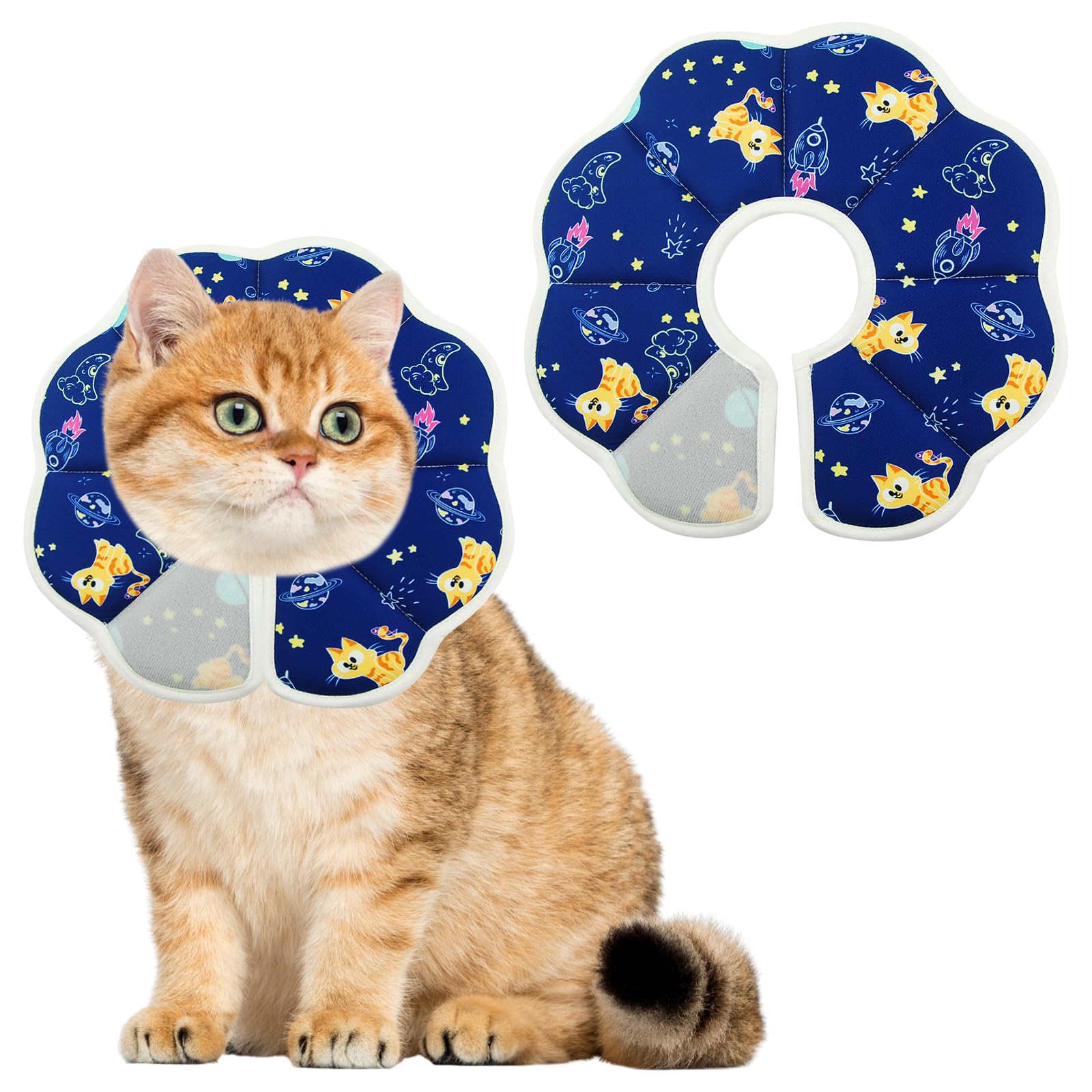 Halskrause Katze Weich & Wasserdicht, Katzenkragen nach OP - Halskrausen für Katzen & Hunde, Einstellbar mit Klett, 3 Größen (XS, S, M) (Blue, S)