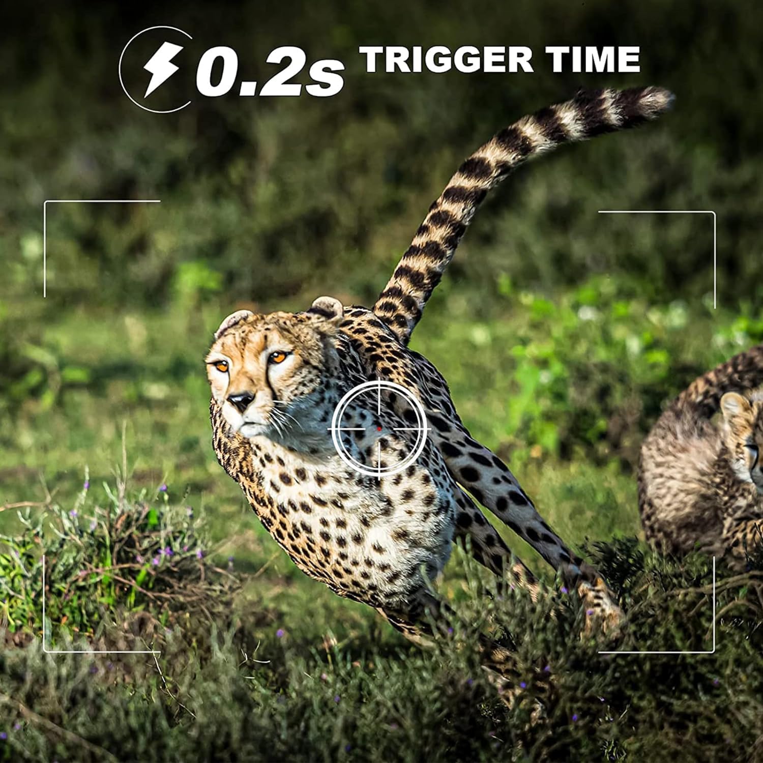 0.2s Trigger Speed