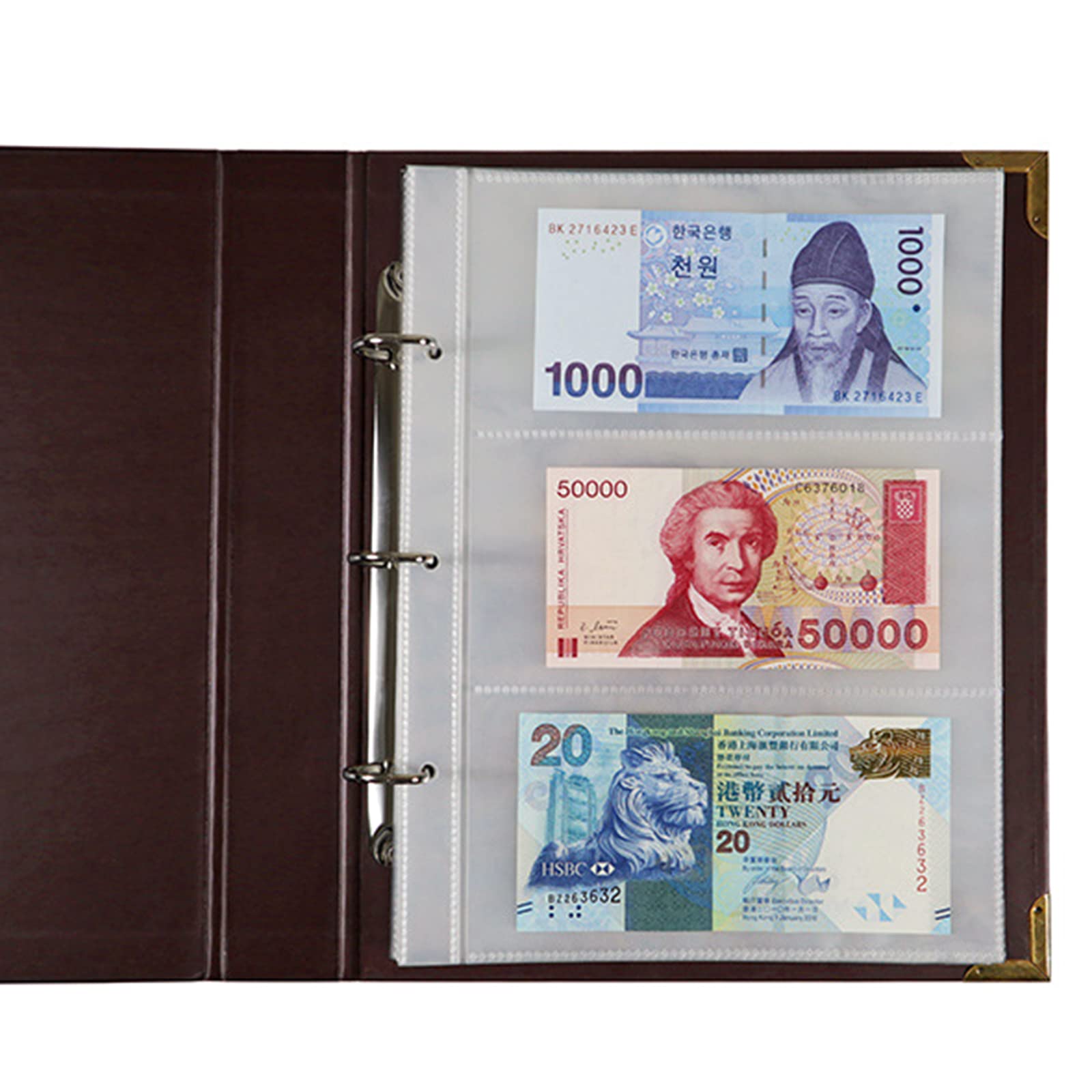 Álbum de Billetes, 10 Fundas para Billetes de 3 Billetes Cada una, para Álbum de Billetes portamonedas para Recoger páginas de Álbum