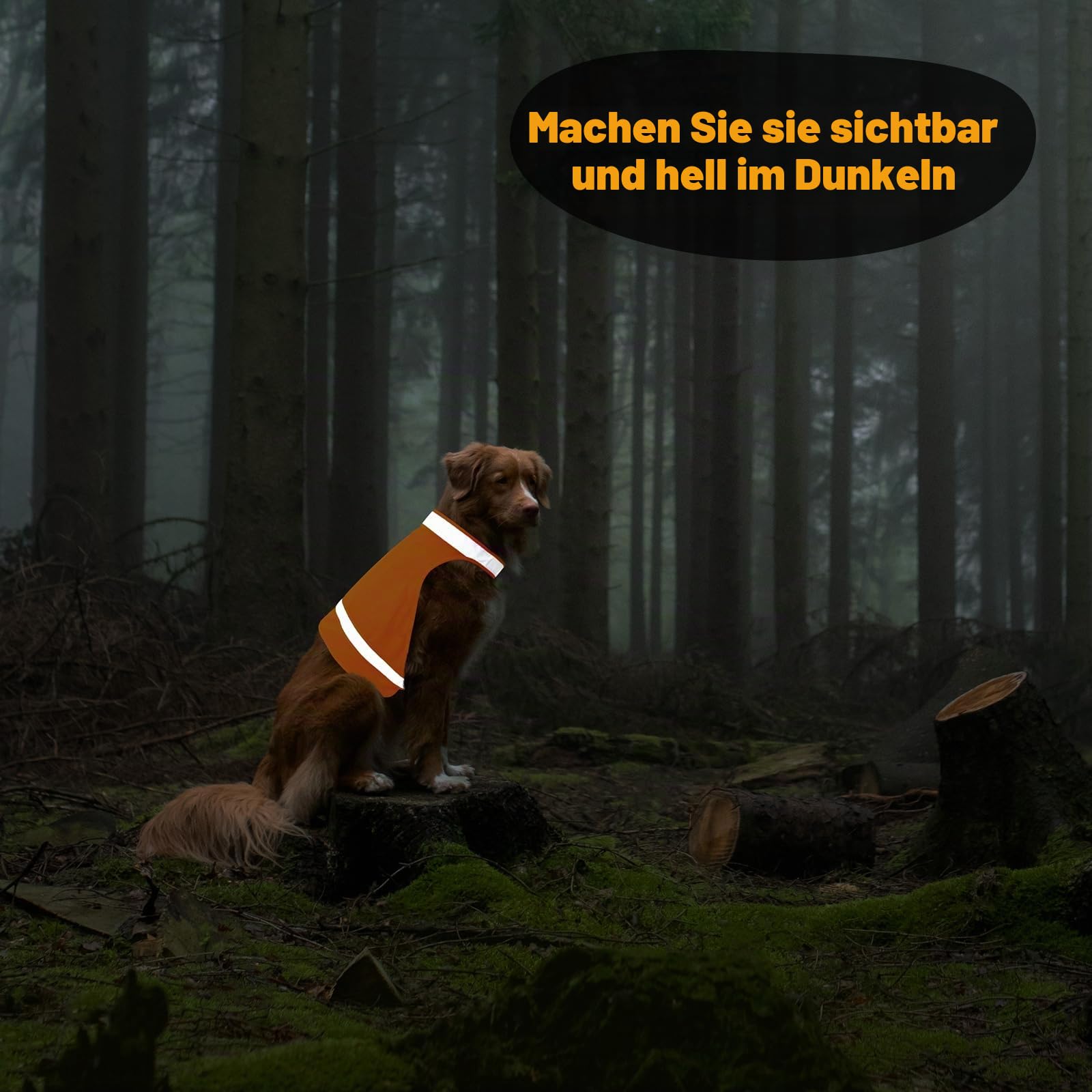Sicherheitsweste für Hunde, fluoreszierende Jagdweste, reflektierender Hundemantel für nächtliche Spaziergänge, Jagd, Training, Joggen, 2er Pack, Orange, L