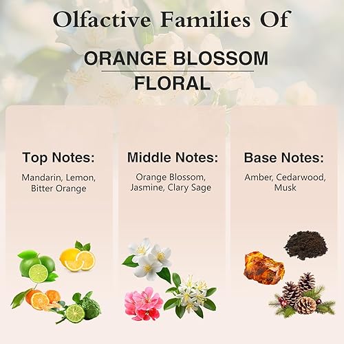 Vista 136 de PHATOIL Aceite esencial de sándalo de 3.3 fl oz, aceites esenciales puros de aromaterapia para difusor, humidificador, relajación, aceites