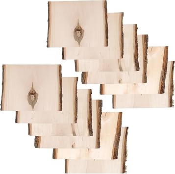 Foggy Bottom Woodworks LLC Rustic Basswood Bark Live Edge Variety 12-Pack, for Arts, Crafts and Wood Projects