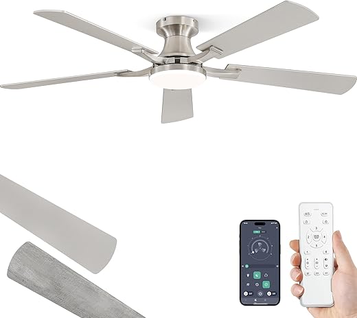 Ceiling Fans