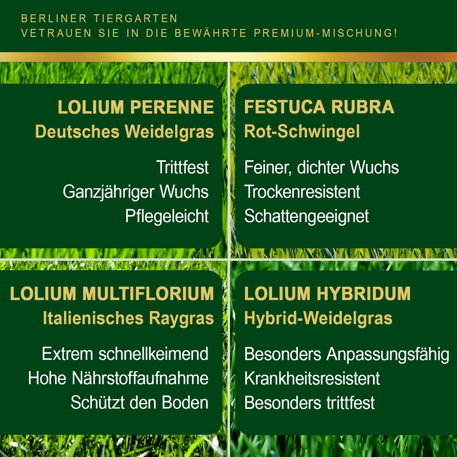 Universal Rasensamen Herbst - Berliner Tiergarten-Mischung, schnellkeimend, Neuanlage & Nachsaat, für dichten & sattgrünen Rasen, trockenresistent, 4,5 kg für 150 m²
