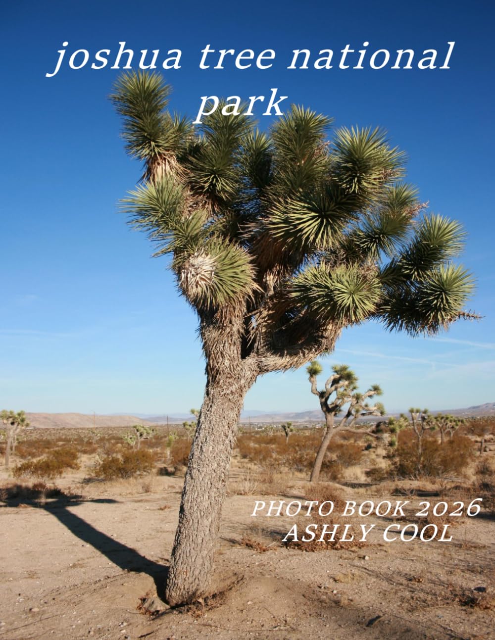 joshua tree national park: Cool Pictures That Create An Idea For You About - Perfect Gift for tourism & travel lovers.....Relaxing & Meditation.