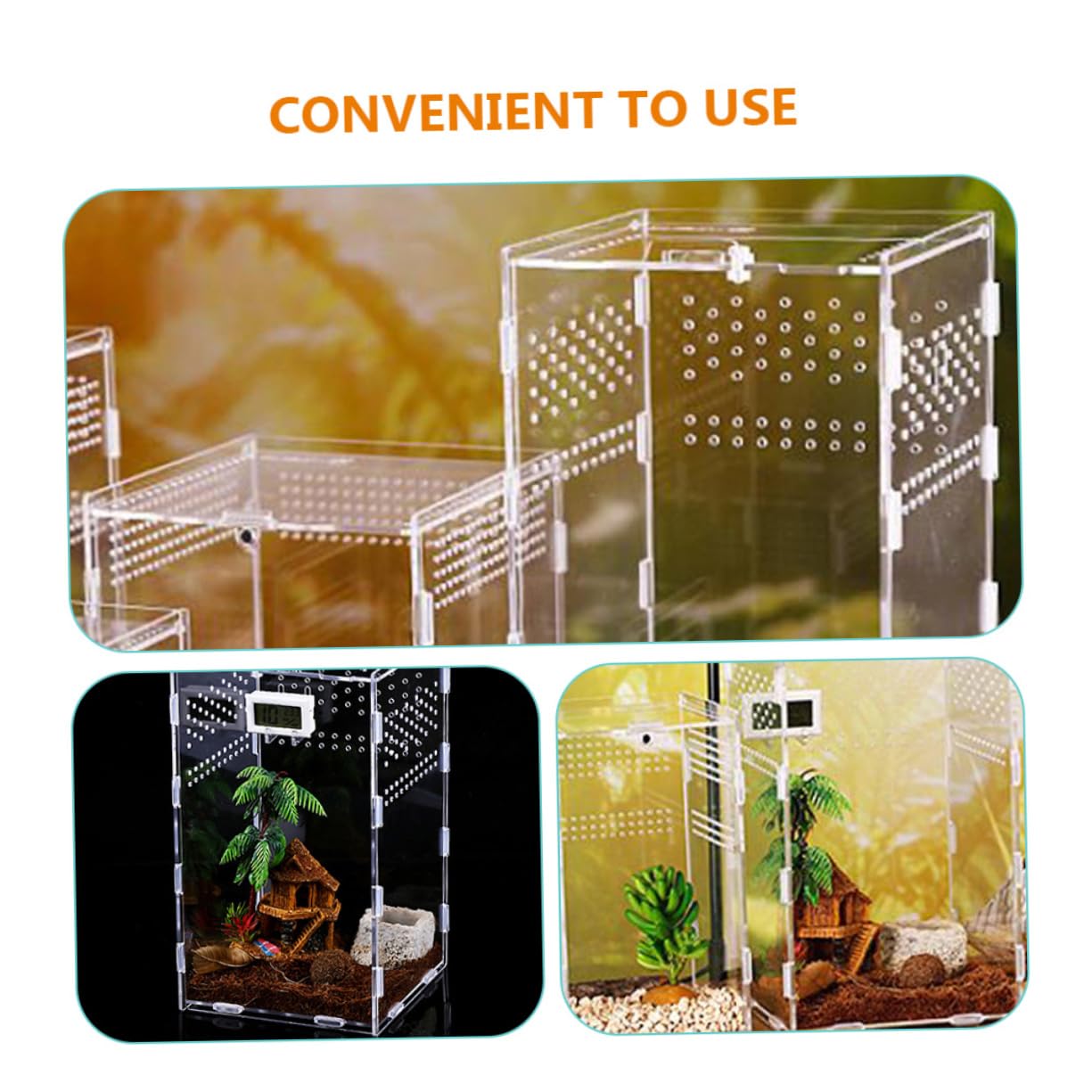 Toddmomy Contenedores Transparentes para Reptiles Cajas De Hábitat Estuches Magnéticos para Arañas y