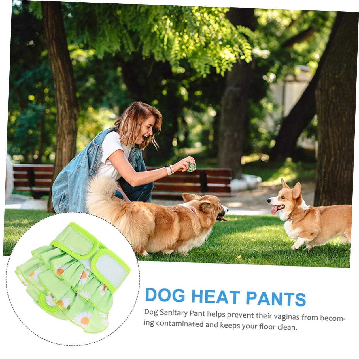 HEMOTON Dog Diaper for Female Dogs Washable Comfortable Pet Pants Period Travel Outdoor Soft Gentle Decorative Design Puppy Diaper