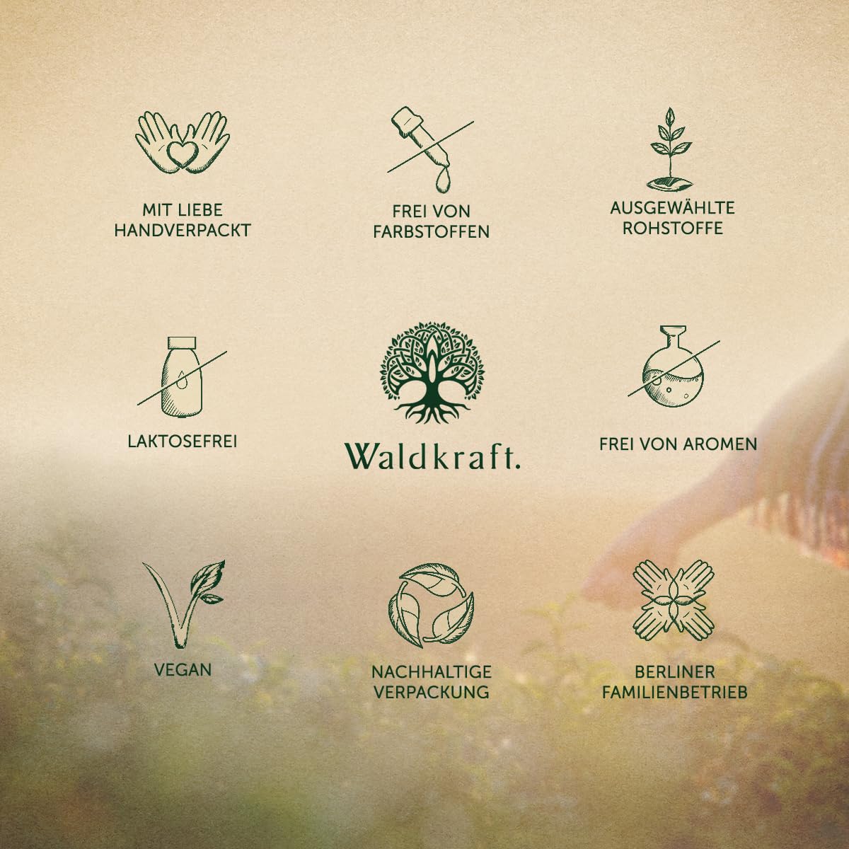 Waldkraft OPC Kapseln | Mit Pycnogenol® aus französischer Meereskiefer | 65 % Procyanidine | Hochwertig und ohne Zusatzstoffe | Vegan | 60 Kapseln im Braunglas