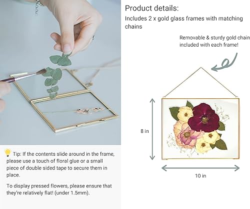 Miniatura 3 de Beedecor Marco doble de vidrio para flores prensadas, fotos y obras de arte, juego de 2 marcos grandes para colgar fotos, marco flotante para