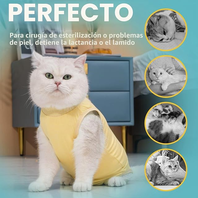Foto 4 de 6 de Avont Traje de Recuperación para Gato Después de la Cirugía
