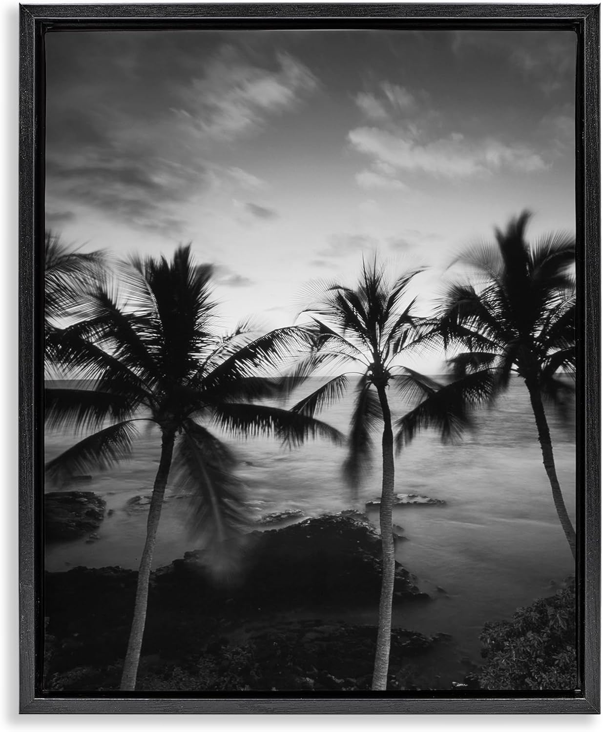 Stupell Industries Palm Tree Coast Photograph Black Framed Floater Canvas Wall Art design by Carol Robinson, 21 x 17