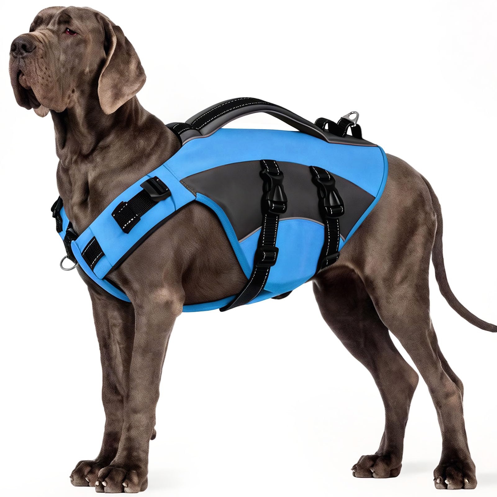 CITÉTOILE Giubbotto di Salvataggio per Cani, Salvagente Cane Regolabile Ripstop, con Maniglia e Strisce Riflettenti, per Gli Sport Acquatici, Dog Life Jecket, Blu, XL