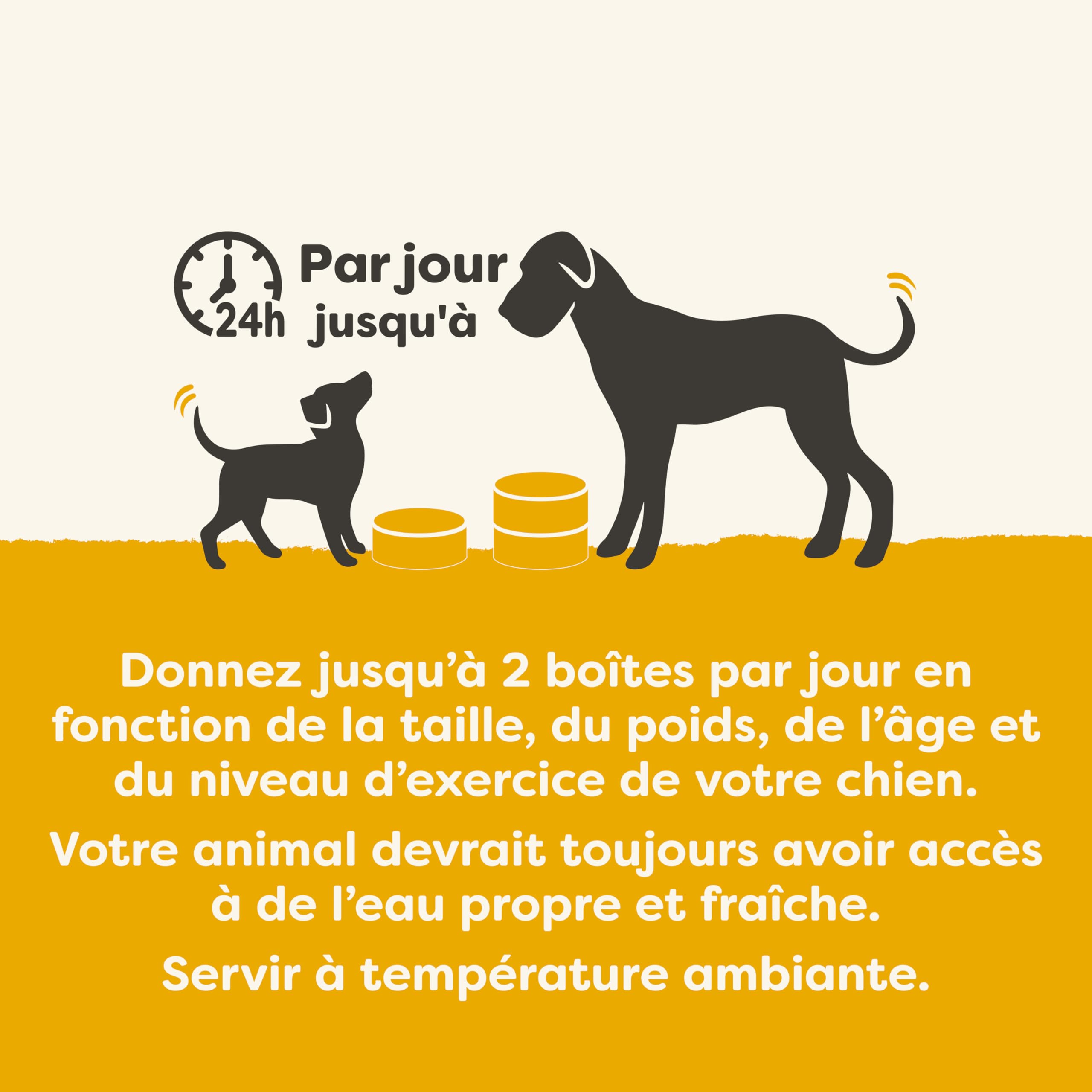 Applaws Nourriture Humide pour Chiens 100% Naturelle, Filet de Poulet avec Citrouille et Légumes en Bouillon - Lot de 12 boîtes de 156 g