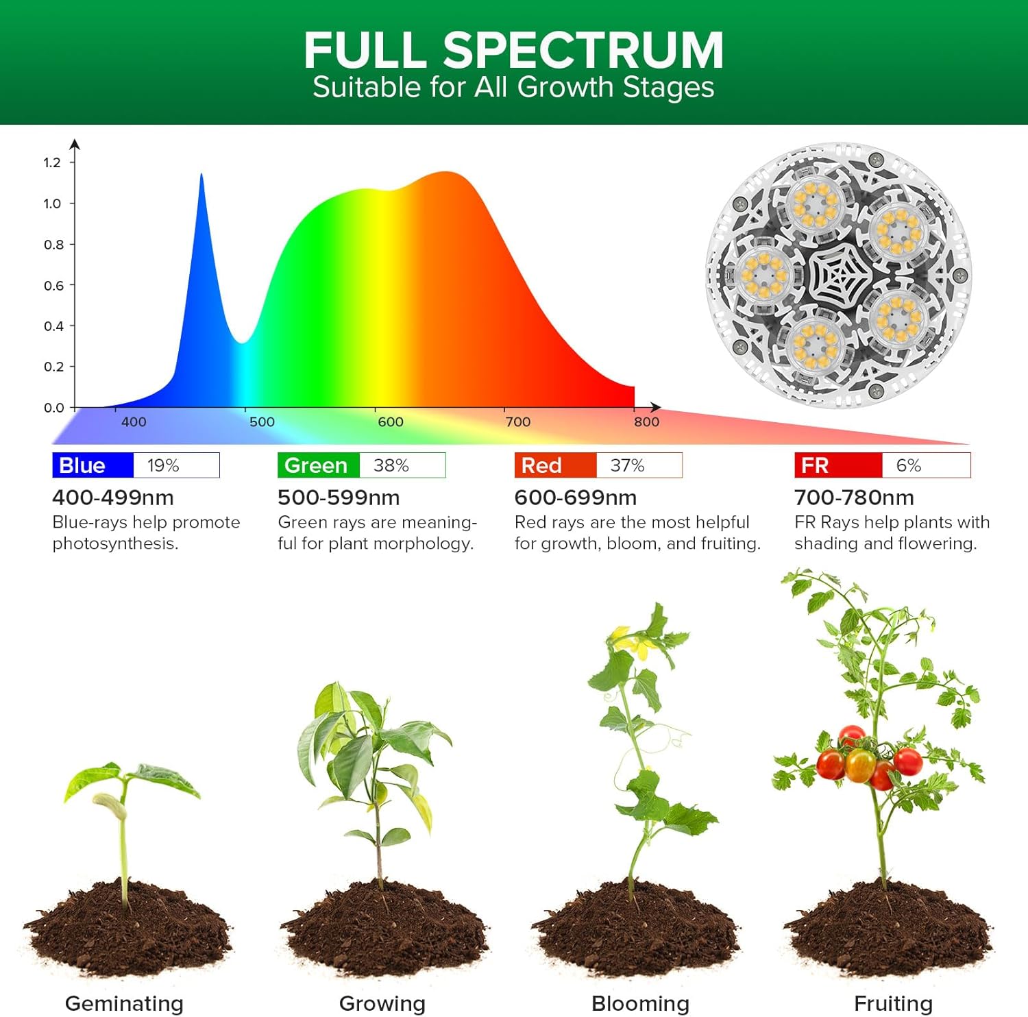 SANSI Grow Lights for Indoor Plants, 4 Dimmable Levels 30W Full Spectrum Plant Lights for Indoor Growing, Tripod Stand Adjustable 30"-55" Plant Grow Light with Remote Control Auto Timer - Image 3