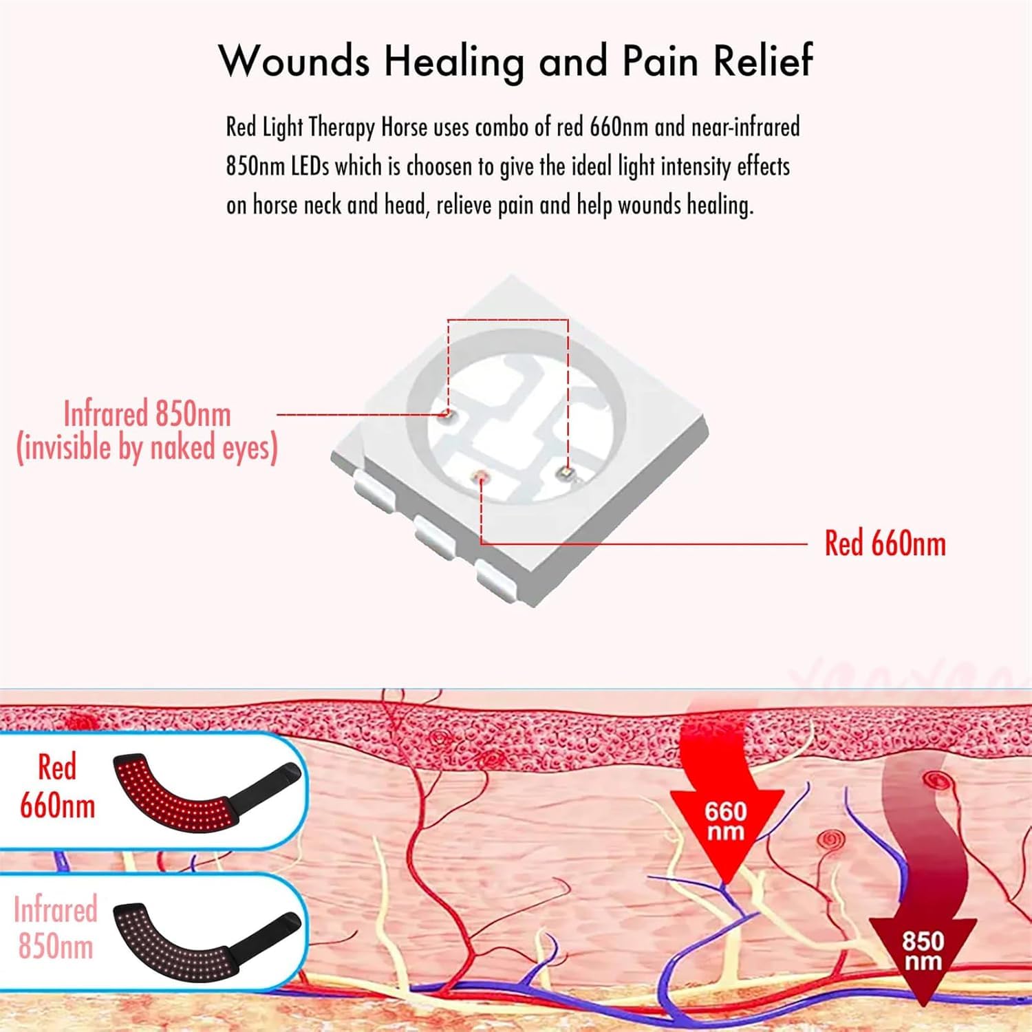 Envoltura Portátil De Terapia De Luz Roja para Caballos: Alivio Eficaz del Dolor En Cascos Y Corvejones para Mascotas, Fototerapia Portátil para La Salud Y Recuperación Equina.
