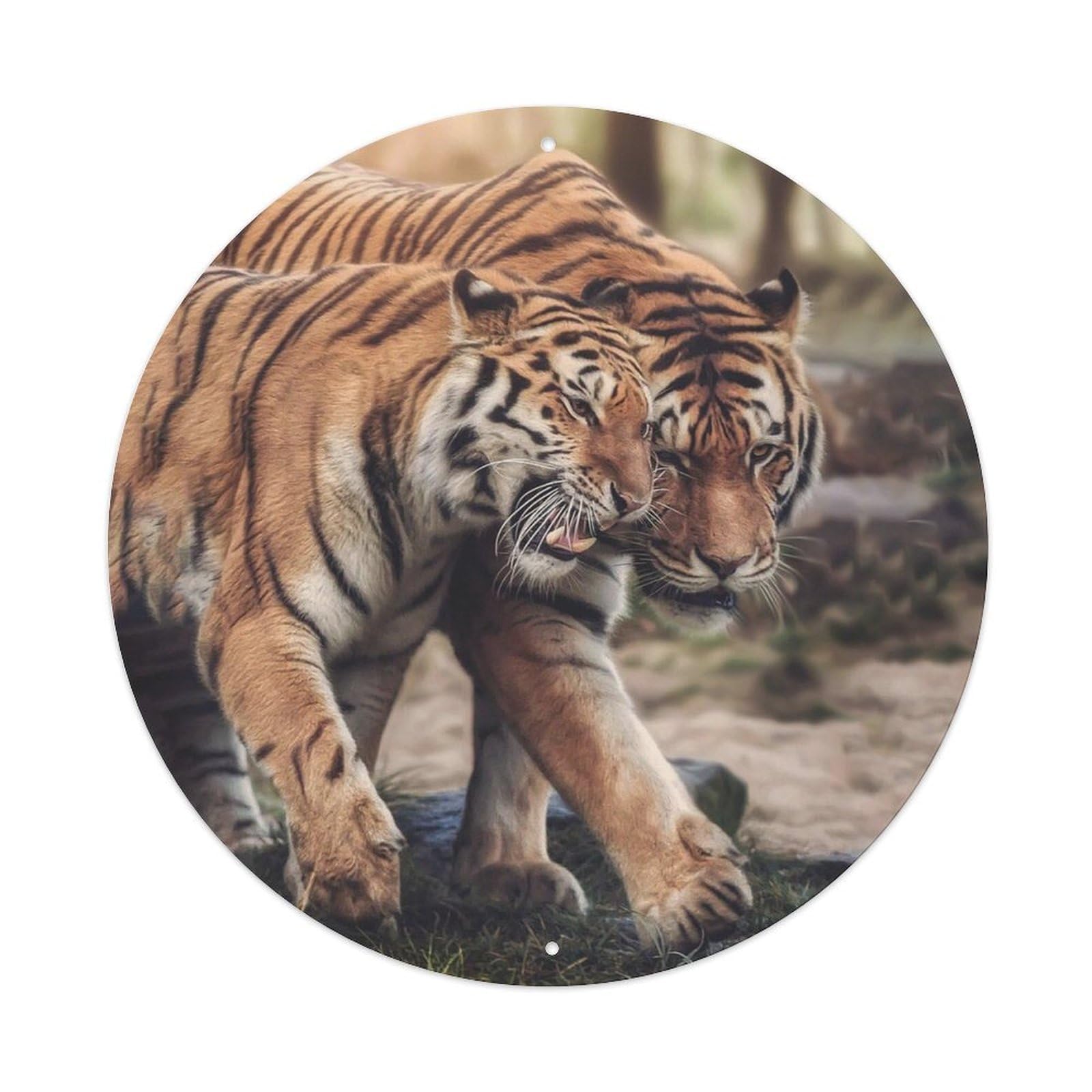 Tiger Couple Wildlife Big Cat Forest Vintage Metal Tin Sign