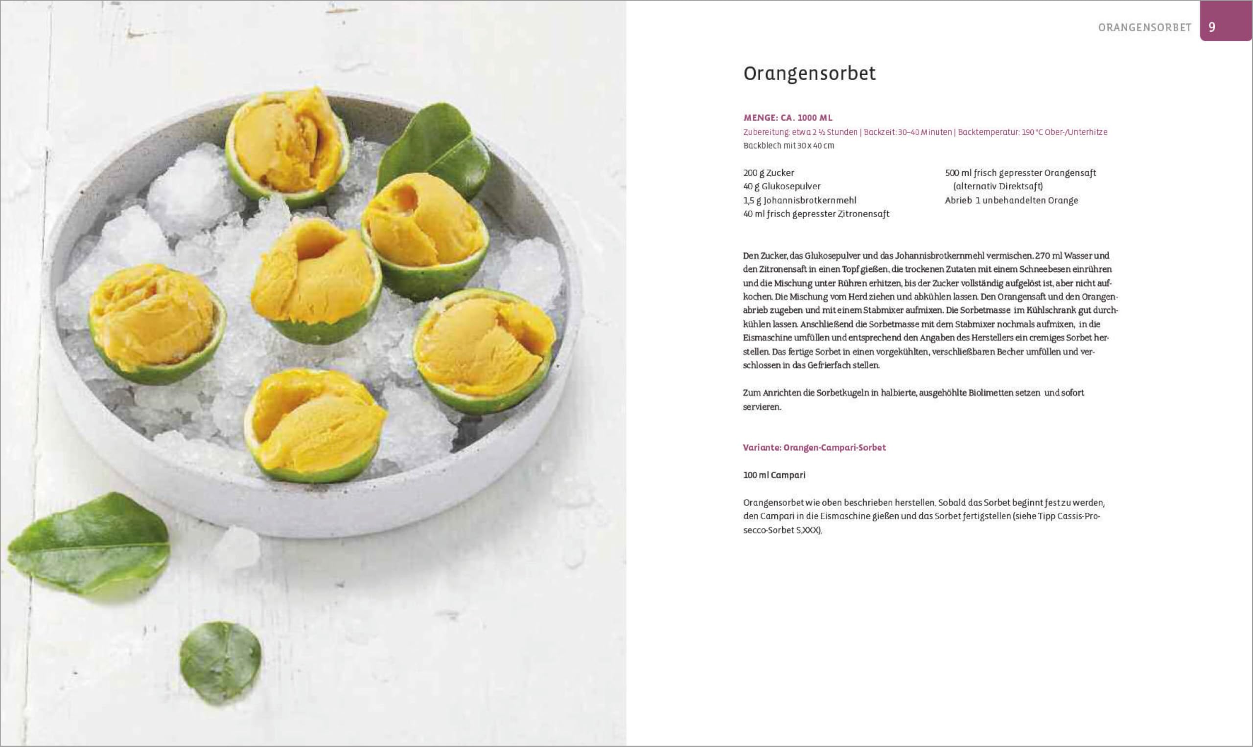 Die Eis Bibel. Eis, Sorbets, Parfaits, Frozen Desserts. 100 kreative Eis-Rezepte für die Eismaschine